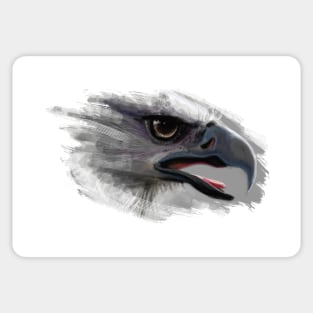 eagle Sticker